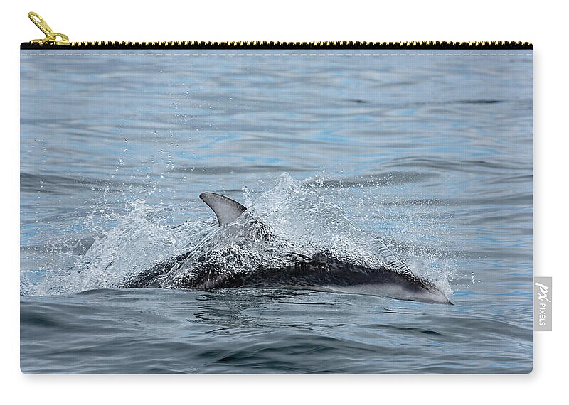 White Zip Pouch featuring the photograph Dolphin by Canadart -