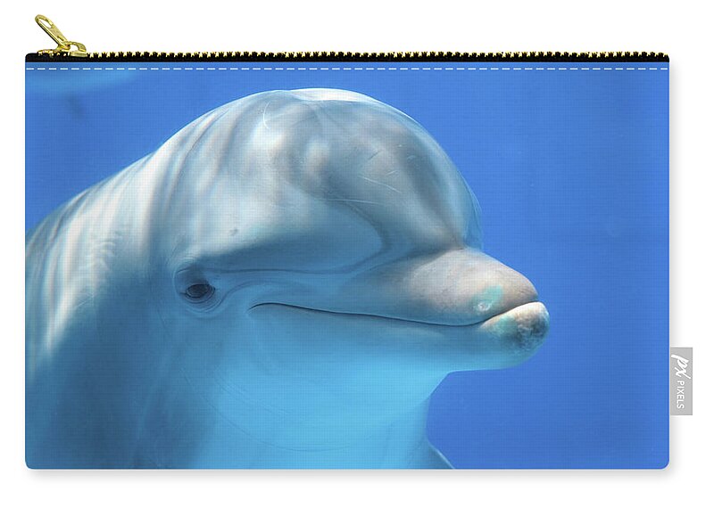 Animal Nose Zip Pouch featuring the photograph Dolphin by Zzoom
