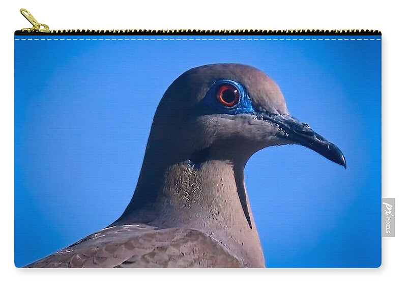 Arizona Carry-all Pouch featuring the photograph Don't It Make My Brown Eyes Blue by Judy Kennedy
