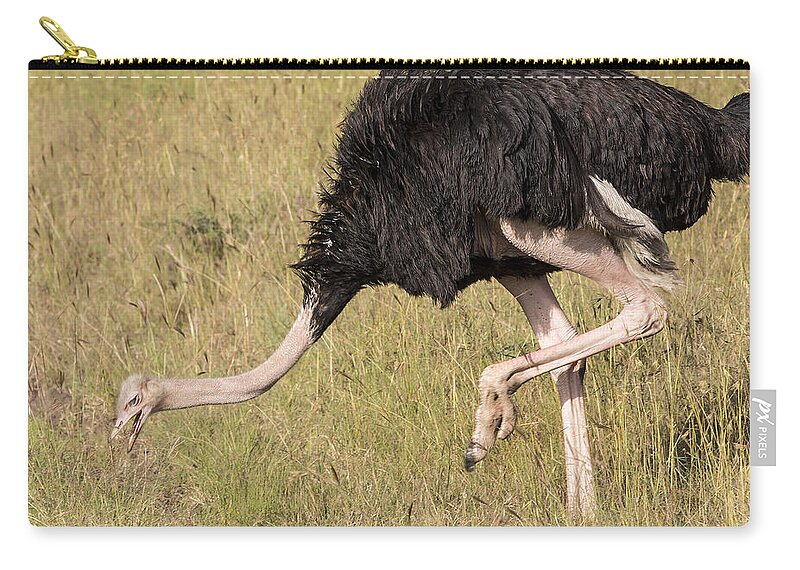 Grass Family Zip Pouch featuring the photograph Double Heads - Male Wild African by 1001slide