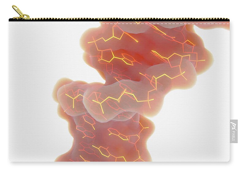 Antiparalell Zip Pouch featuring the photograph Double Helix Structure Of Dna by Juan Gaertner