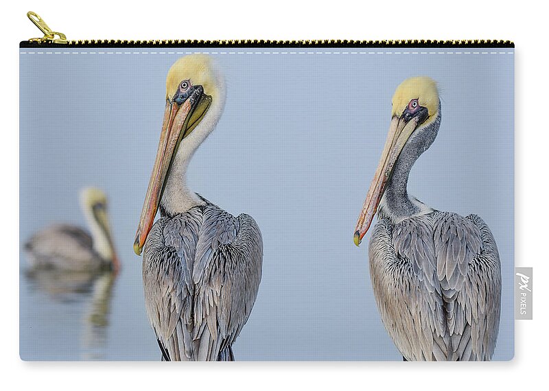 Brown Zip Pouch featuring the photograph Double Your Fun by Christopher Rice