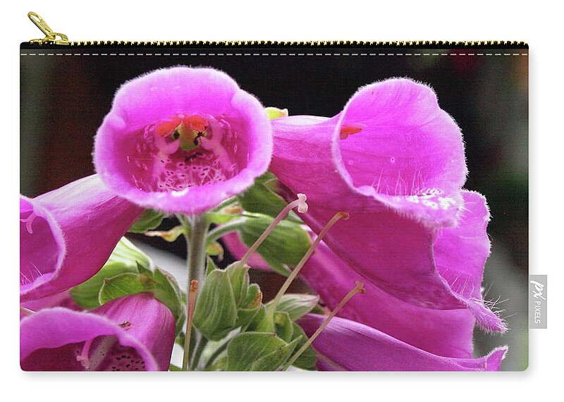 Fox Glove Zip Pouch featuring the photograph Down the Throat by Jeffrey Peterson