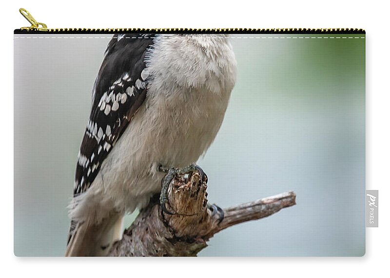 Bird Zip Pouch featuring the photograph Downy Woodpecker by Cathy Kovarik