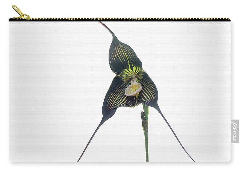 Cut Out Zip Pouch featuring the photograph Dracula Orchid by Micha Pawlitzki