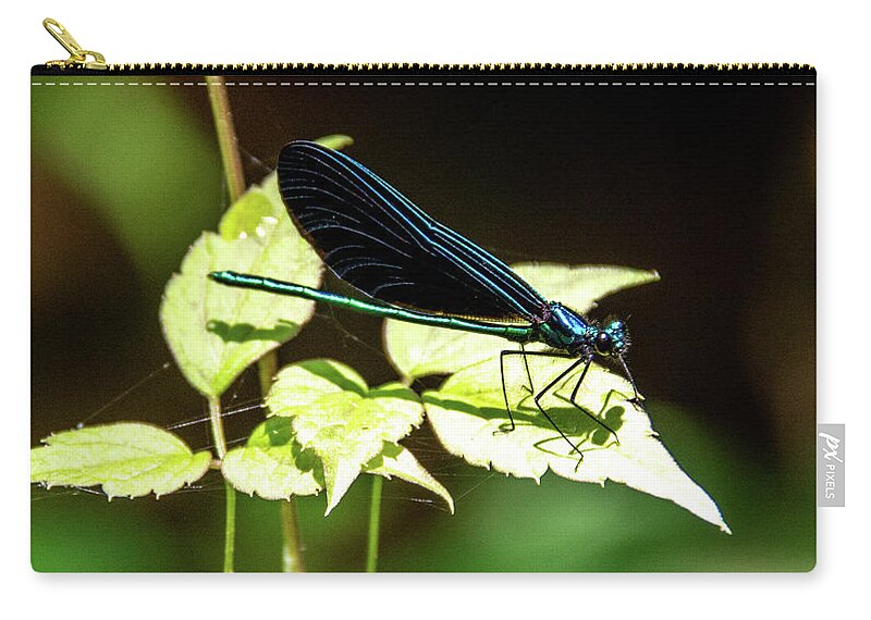 Green Zip Pouch featuring the photograph Dragon Fly Iridescence by Marcy Wielfaert