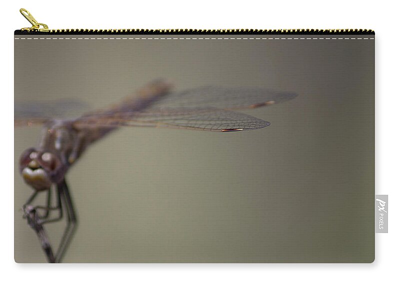Insect Zip Pouch featuring the photograph Dragonfly #1 by Jonathan Thompson
