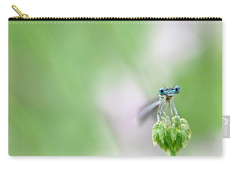 Grass Zip Pouch featuring the photograph Dragonfly by Savushkin
