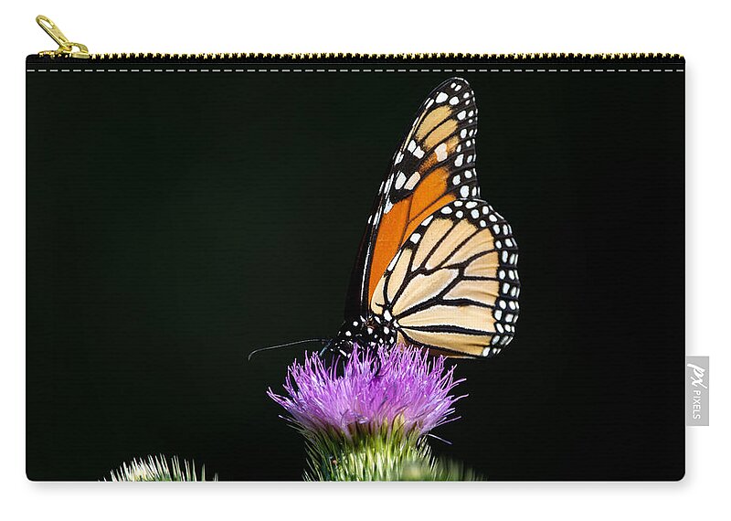 Butterfly Carry-all Pouch featuring the photograph Drama Queen by Linda Bonaccorsi
