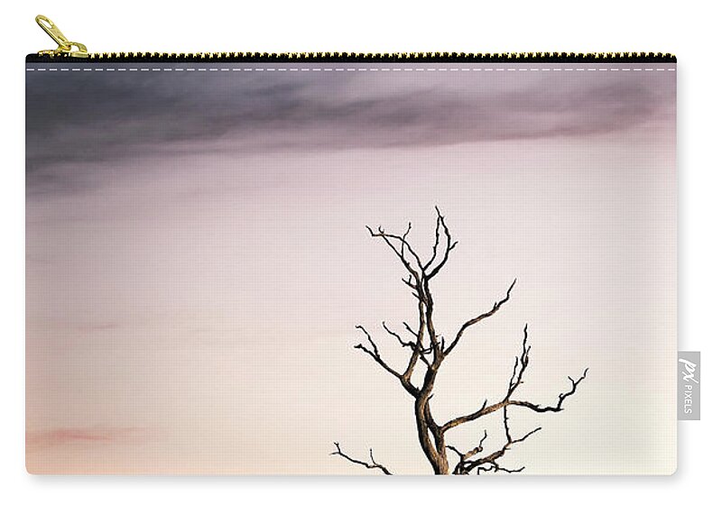 Kremsdorf Carry-all Pouch featuring the photograph Dreams Of The Dead Tree by Evelina Kremsdorf