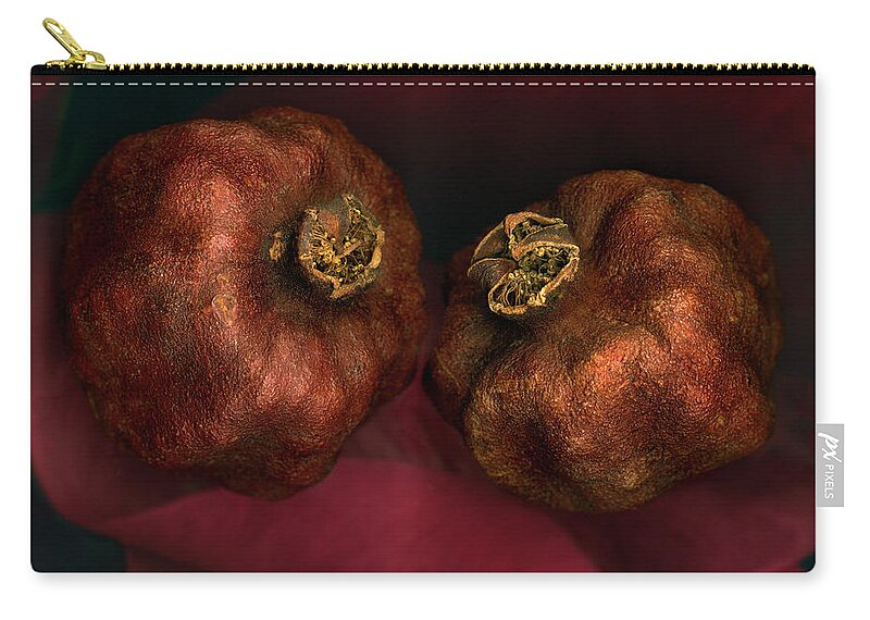 Aging Process Zip Pouch featuring the photograph Dried Pomegranates, Close-up by John Grant