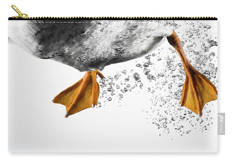 Underwater Zip Pouch featuring the photograph Duck Feet Swimming by Pier