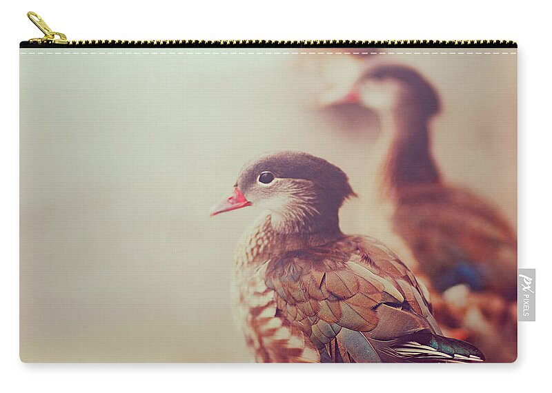 Water's Edge Zip Pouch featuring the photograph Ducks by Julia Davila-lampe