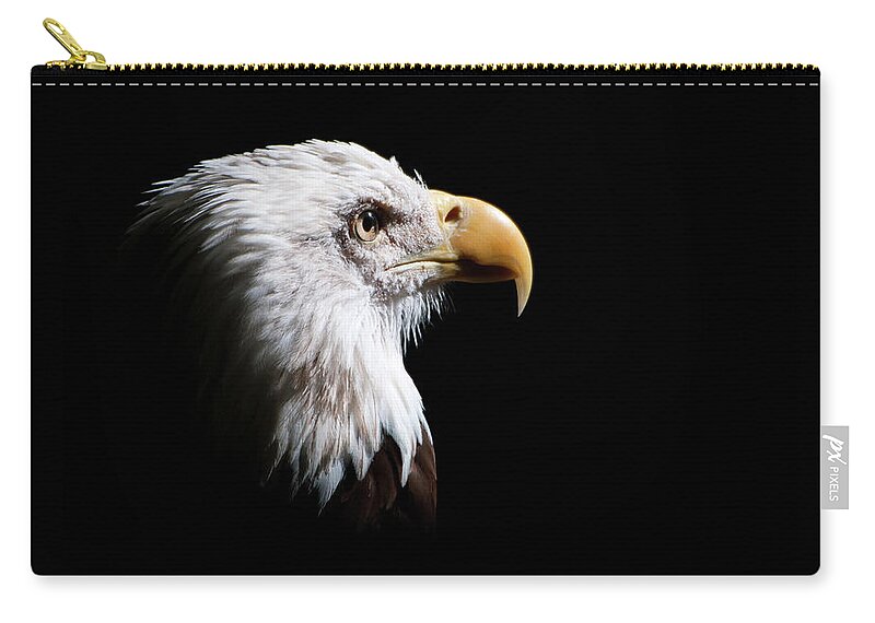Animal Themes Zip Pouch featuring the photograph Eagle by Felipe Buccianti