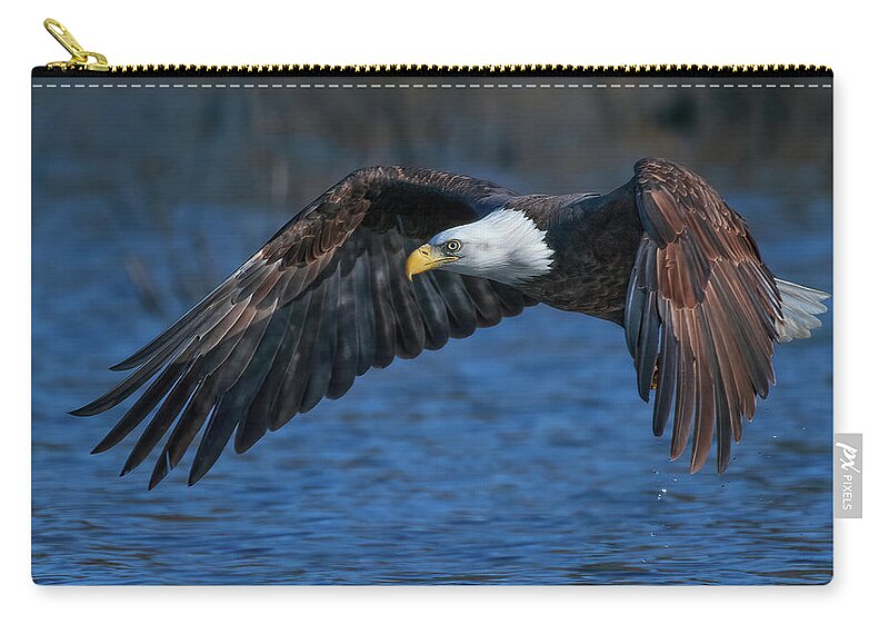 Bald Eagle Zip Pouch featuring the photograph Eagle On Blue by Beth Sargent