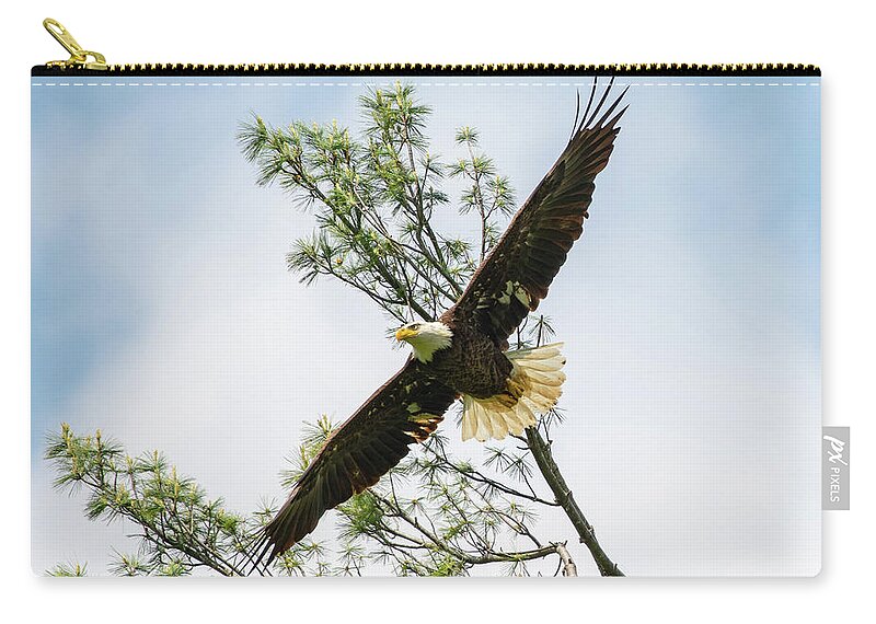Eagle Zip Pouch featuring the photograph Eagle Swooping Down by Robert J Wagner