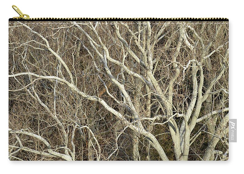 Arizona Zip Pouch featuring the photograph Early Bird Mistletoe by James Covello