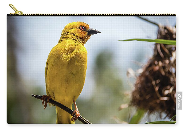 Bird Carry-all Pouch featuring the photograph Eastern golden weaver, Zanzibar by Lyl Dil Creations