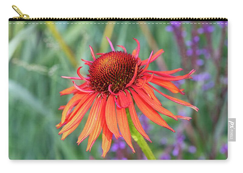 Echinacea Hot Lava Zip Pouch featuring the photograph Echinacea Hot Lava by Tim Gainey