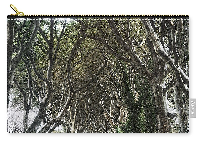 Tranquility Zip Pouch featuring the photograph Elder Trees by Danielle D. Hughson