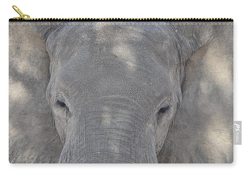 Elephant Zip Pouch featuring the photograph Elephant Closeup by Ben Foster