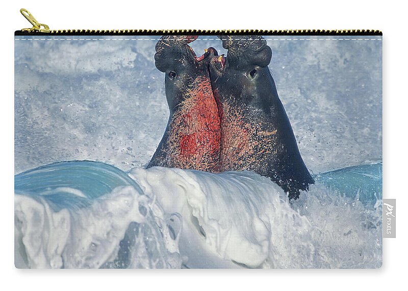 00586413 Zip Pouch featuring the photograph Elephant Seal Bulls Fighting In Surf, Piedras Blancas, California by Tim Fitzharris