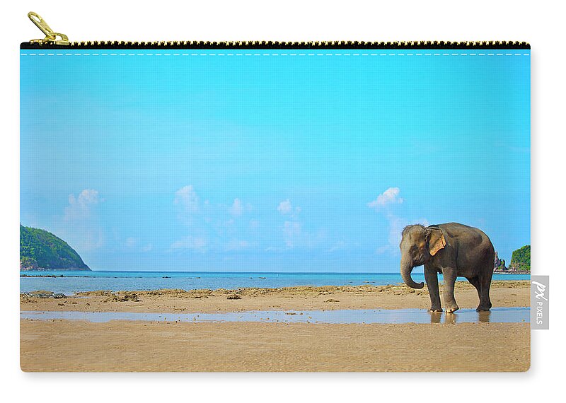 Animals In The Wild Zip Pouch featuring the photograph Elephant Walking by Vladgans
