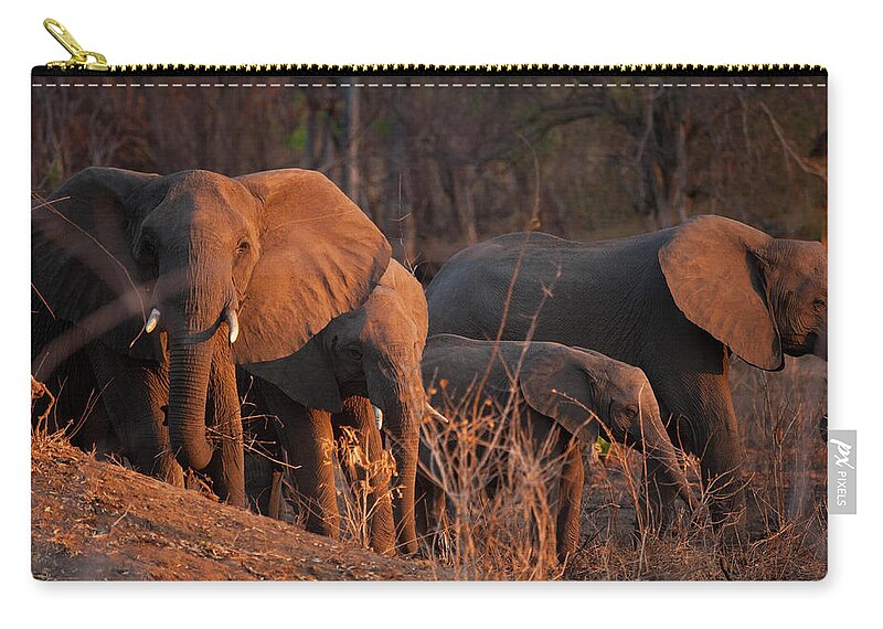 Estock Zip Pouch featuring the digital art Elephants, Niassa Reserve, Mozambique by Kristel Richard
