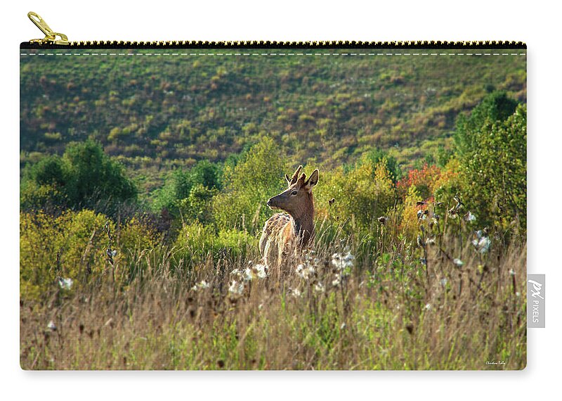 Elk Zip Pouch featuring the photograph Elk In Fall Field by Christina Rollo