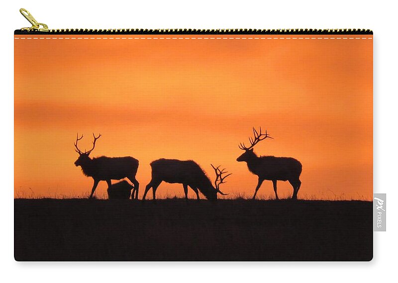 Elk Zip Pouch featuring the photograph Elk in the morning light by Keith Stokes