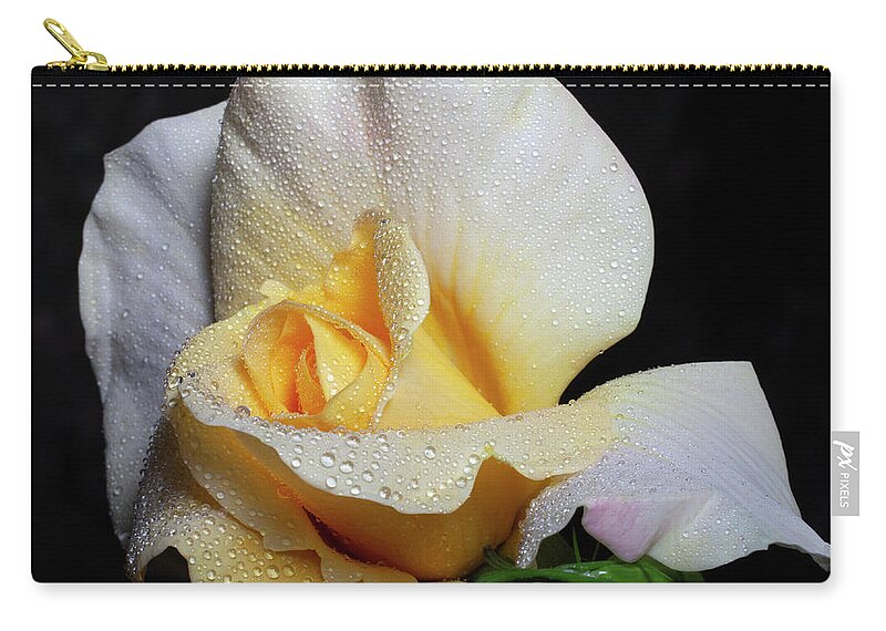 Yellow Zip Pouch featuring the photograph Emergent by Doug Norkum