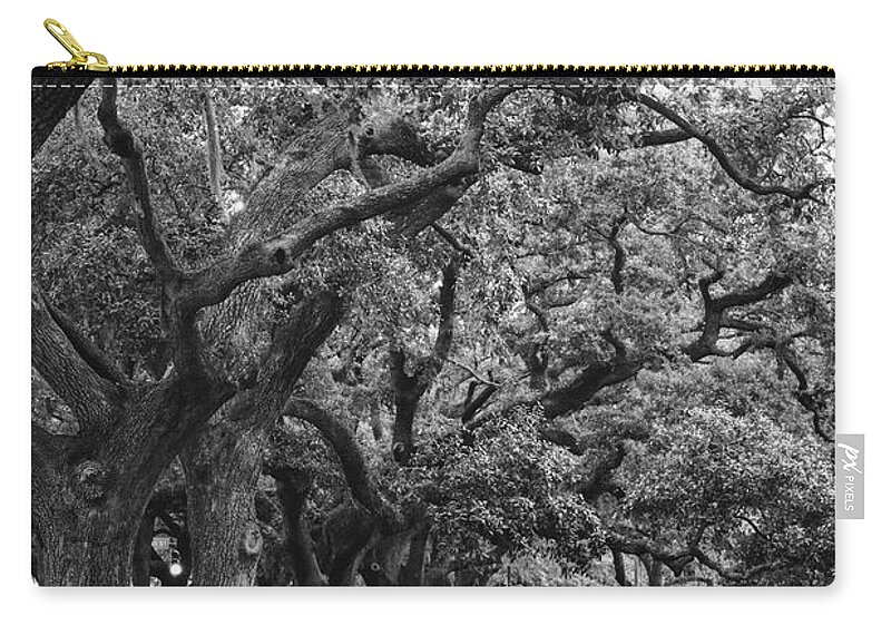 Black And White Zip Pouch featuring the photograph Emmet Park Trees in Black and White by Carol Groenen