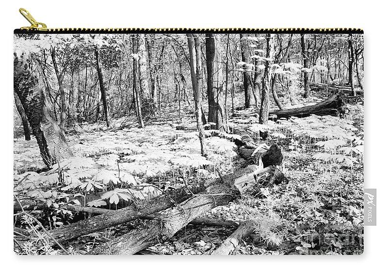 Spring Carry-all Pouch featuring the photograph Enchanted Forest by Steve Ember