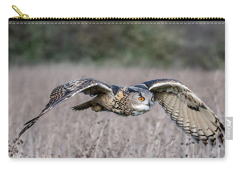 Owl Zip Pouch featuring the photograph Eurasian Eagle Owl in flight by Mark Hunter