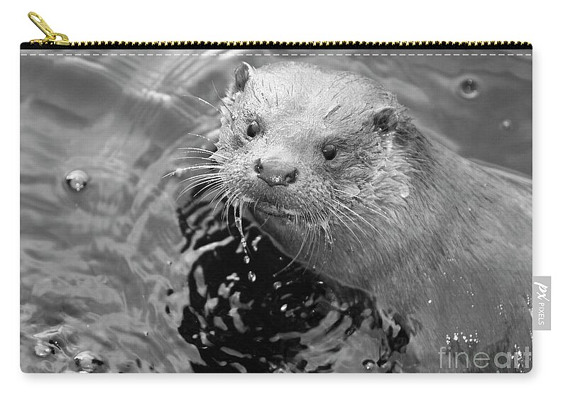 Ambleside Zip Pouch featuring the photograph European Otter by Science Photo Library
