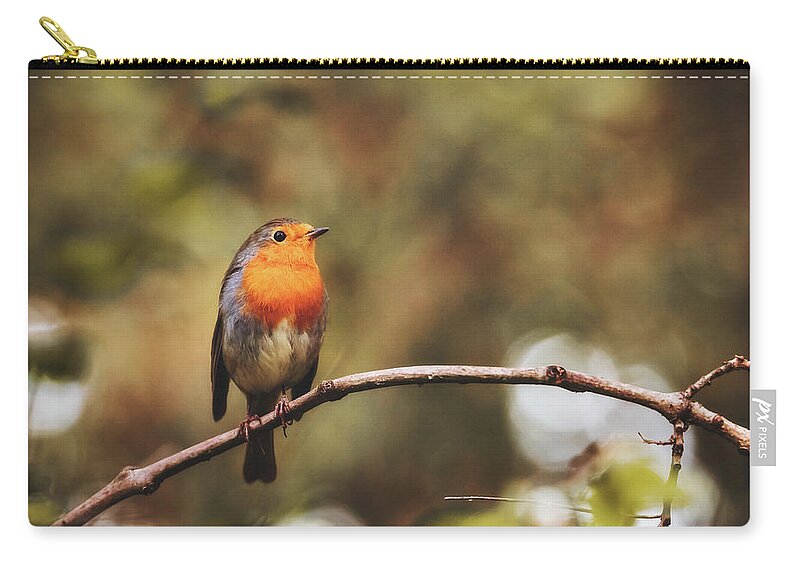 Robin Zip Pouch featuring the photograph European Robin - Erithacus rubecula by Marc Braner