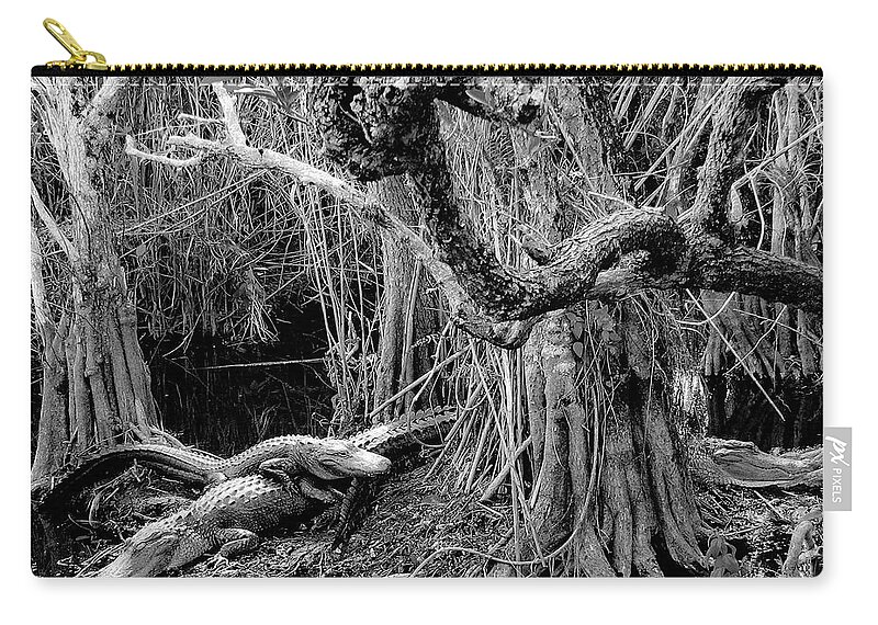 Everglades Alligators Zip Pouch featuring the photograph Everglades #6 by Neil Pankler