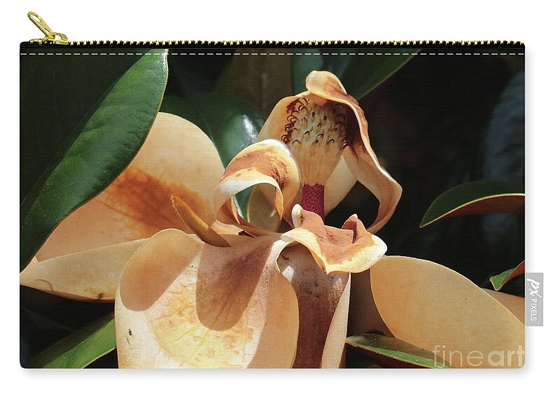 Magnolia Zip Pouch featuring the photograph Fading Magnolia Beauty by Carol Groenen