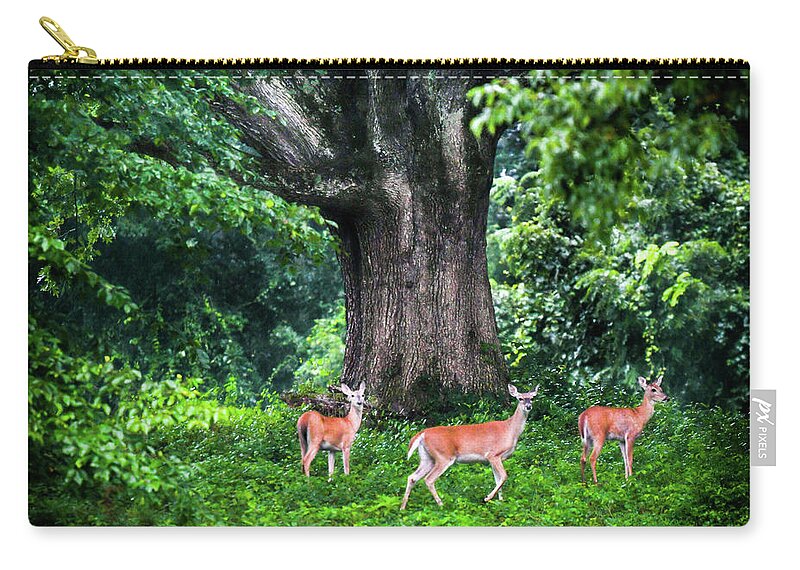 Deer Zip Pouch featuring the photograph Fairy Tale Forest by Karen Wiles