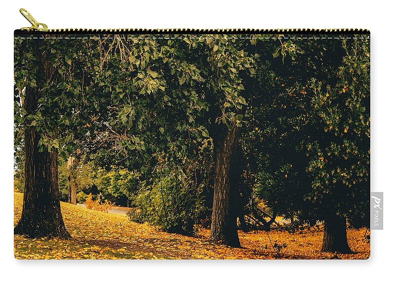 Fall Carry-all Pouch featuring the photograph Fall by Anamar Pictures