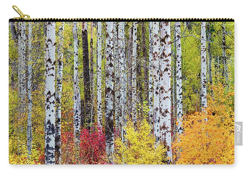 Outdoor; Fall; Colors; Birch; Tree; Autumn; Cascade; Washington Beauty; Pacific North West; Washington; Washington State Zip Pouch featuring the digital art Fall Birchwood by Michael Lee