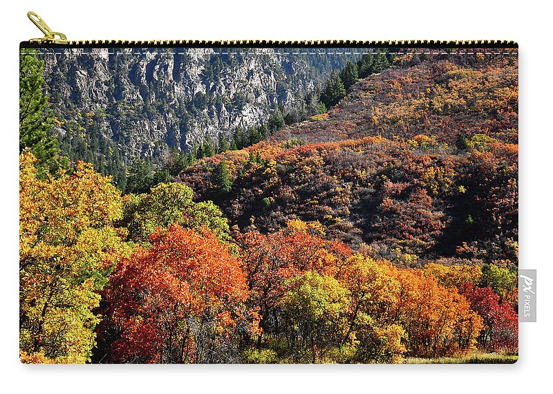 Colorado Zip Pouch featuring the photograph Fall Colored Oaks in Avalanche Creek Canyon by Ray Mathis