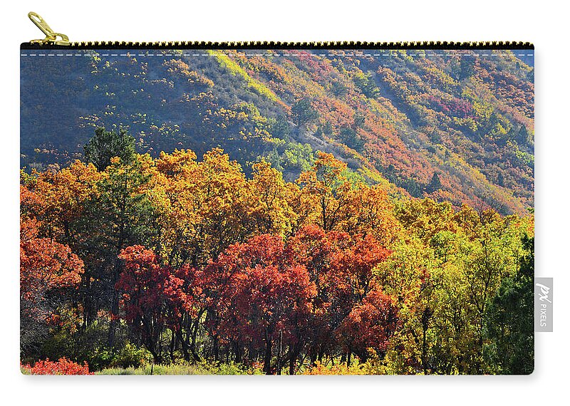 Colorado Zip Pouch featuring the photograph Fall Colors along Avalanche Creek Road by Ray Mathis