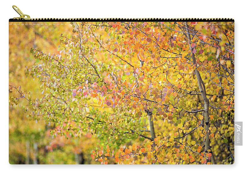 Aspens Zip Pouch featuring the photograph Fall Focus by Denise Bush