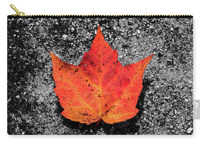 Foliage Zip Pouch featuring the photograph Fall Foliage Orange Red Maple Leaf in a Rivulet by William Dickman