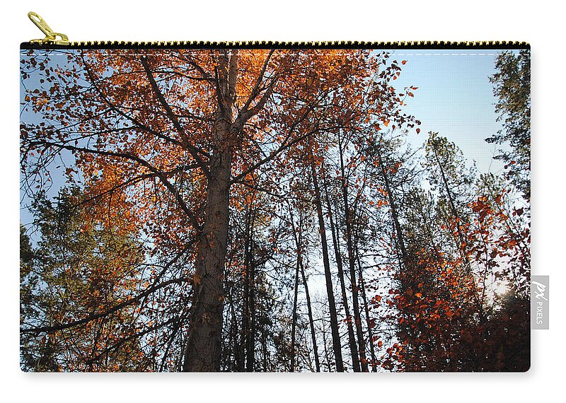 Trees Zip Pouch featuring the photograph Fall in Montana by Vallee Johnson
