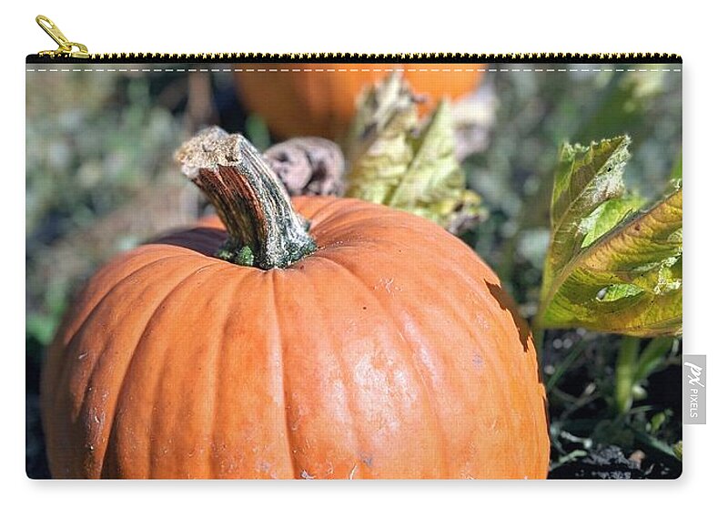 Pumpkin Zip Pouch featuring the photograph Fall Pumpkins by Jeff Floyd CA
