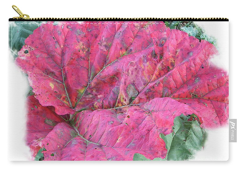 Rhubarb Zip Pouch featuring the photograph Fall Rhubarb Beauty by Rich Collins