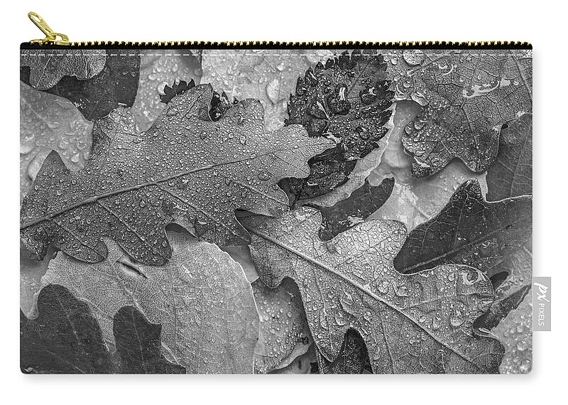 Disk1215 Zip Pouch featuring the photograph Fallen Leaves Dotted With Dew by Tim Fitzharris