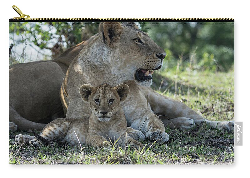 Lion Zip Pouch featuring the photograph Family Time by Mark Hunter